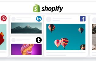 How to Add Social Media Feed to Shopify Website (2 Method)